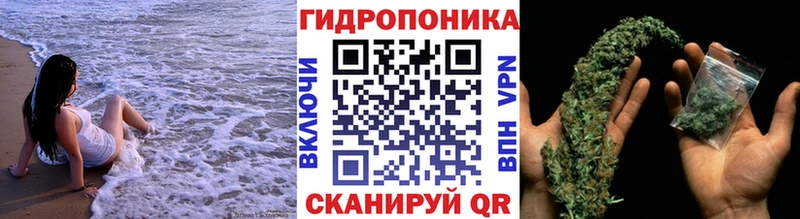 Названия наркотиков Дмитриев МДМА  mega ссылки  Гашиш  Каннабис  МЕФ 