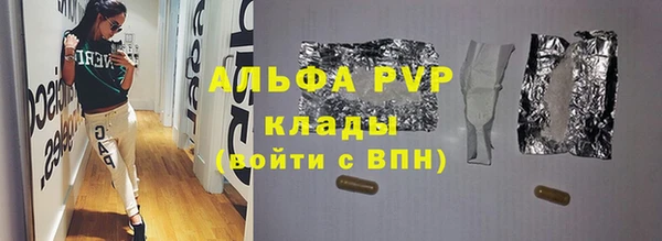 СК Сафоново