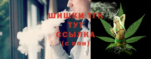 СК Сафоново