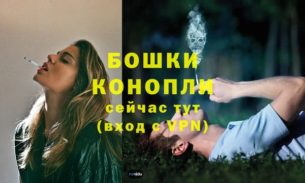 метадон Сатка