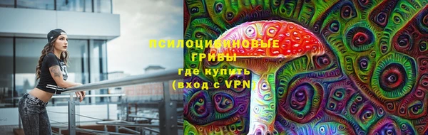 СК Сафоново