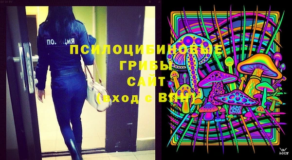 метадон Сатка