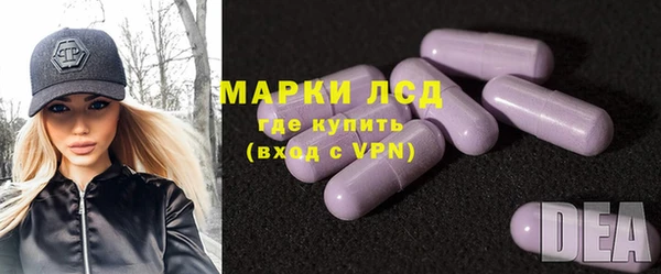 СК Сафоново